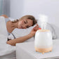 USB Portable Humidifier, Travel & Desktop Mini Mist Humidifiers