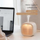 Personal Mini Humidifier, Small USB Portable Air Humidifier