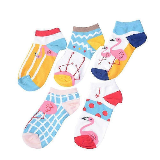 5 Pairs Women&