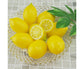 10Pcs Mini Artificial Lemon Simulation Fruit Photography Prop Party Table Decor-Yellow
