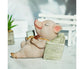 Lovely Moving Brick Reading Book Pig Ornament Home Desktop Decor Resin Craft-5