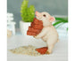 Lovely Moving Brick Reading Book Pig Ornament Home Desktop Decor Resin Craft-5