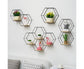 Nordic Hexagonal Iron Stand Small Pot Wall Holder Home Shelf Storage Holder-Golden M