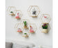 Nordic Hexagonal Iron Stand Small Pot Wall Holder Home Shelf Storage Holder-Golden M