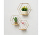 Nordic Hexagonal Iron Stand Small Pot Wall Holder Home Shelf Storage Holder-Golden M