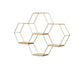 Nordic Hexagonal Iron Stand Small Pot Wall Holder Home Shelf Storage Holder-Golden M