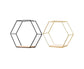 Nordic Hexagonal Iron Stand Small Pot Wall Holder Home Shelf Storage Holder-Golden M