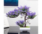 Vibrant Bonsai Plant-Purple