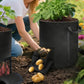 1 Pack 15 Gal Potato Grow Bags with Dual Harvest Windows Reinforced Handles Planter