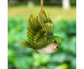 1 Set Decorative Resin Birds Pendant - Multicolor