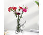 Creative Hydroponics Planter Vase with Holder - A