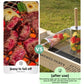 Food-grade stainless steel rotisserie skewer, 360° rotatable, with heat-resistant wooden handle—outdoor camping barbecue tool (Small)