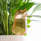 Bird-Shaped Automatic Plant Waterer, Lazy Self-Watering Drip Irrigation Device for Potted Plants—Green