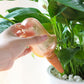 Bird-Shaped Automatic Plant Waterer, Lazy Self-Watering Drip Irrigation Device for Potted Plants—Pink