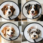 Classic Elizabethan Collar - Anti-Licking Collar - Multiple Sizes - Adjustable - Bite-Resistant - Transparent - Flea & Tick Prevention & Anti-Licking - Velcro Closure - For Cats & Dogs -16-19CM - 1 Piece