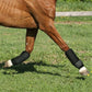 Rubber Horse Leg Wraps – Impact-Resistant & Breathable Leg Guards