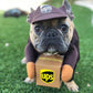 Pet Halloween Costume Small Dog Cat Brown UPS in express packaging S (Chest 40-50cm)