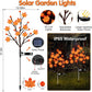 Solar Maple Leaf Branch Lights with 20 Warm LEDs, 8 Lighting Modes & IP65 Waterproof, Auto On/Off Garden Pathway Decor for Fall Harvest and Halloween Ambiance (2PCS, Pumpkin-Small  Maple)