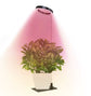 Full Spectrum LED Plant Grow Light with Telescopic Stand, Angel Ring Design, Dimmable Timer & Multi-Mode for Indoor Potted Plants, Succulents, and Home Desktop Decor (3PCS, Warm White Light (Black+Black Base))