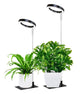 Full Spectrum LED Plant Grow Light with Telescopic Stand, Angel Ring Design, Dimmable Timer & Multi-Mode for Indoor Potted Plants, Succulents, and Home Desktop Decor (3PCS, Red Blue Light（Black+Black Base）)