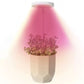 Angel Halo Ring LED Plant Grow Light, Full Spectrum Warm White & Red Blue for Succulents, Flowers, Adjustable Height and Angle, USB Powered Stake Lamp for Indoor Potted Plants (2PCS, Warm White Light (White))