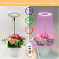 Angel Halo Ring LED Plant Grow Light, Full Spectrum Warm White & Red Blue for Succulents, Flowers, Adjustable Height and Angle, USB Powered Stake Lamp for Indoor Potted Plants (2PCS, Red Blue Warm Light  (Black))