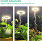Angel Halo Ring LED Plant Grow Light, Full Spectrum Warm White & Red Blue for Succulents, Flowers, Adjustable Height and Angle, USB Powered Stake Lamp for Indoor Potted Plants (3PCS, Red Blue Light (Black))