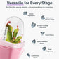 Self-Watering Square Seedling Pot with Adjustable Humidity Dome – Semi-Transparent Pink Plastic Planter for Mini Succulents, Carnivorous Plants, and Propagation, Ideal for Desks, Shelves, and Kids Gardening (8PCS)