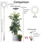 Versatile Floor Plant Grow Light with Full Spectrum LED Ring, Telescopic Stake, 3 Color Modes, 10-Level Brightness, and 3/9/12H Timer, Perfect for Indoor Potted Plants, Flowers, Succulents, Herbs, and Vegetables – USB Powered (White, 2PCS)
