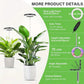 Versatile Floor Plant Grow Light with Full Spectrum LED Ring, Telescopic Stake, 3 Color Modes, 10-Level Brightness, and 3/9/12H Timer, Perfect for Indoor Potted Plants, Flowers, Succulents, Herbs, and Vegetables – USB Powered (White, 2PCS)