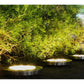 8 Pack LED Solar Pathway Lights Outdoor Solar Ground Lights (Warm White)