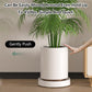 CARLA HOME 2-Pack Rolling Plant Stand with 360° Wheels for Indoor Pots (26 cm)