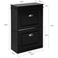 Shoe Cabinet 2 Drawers Storage Cupboard Black