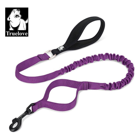 Military leash purple - M