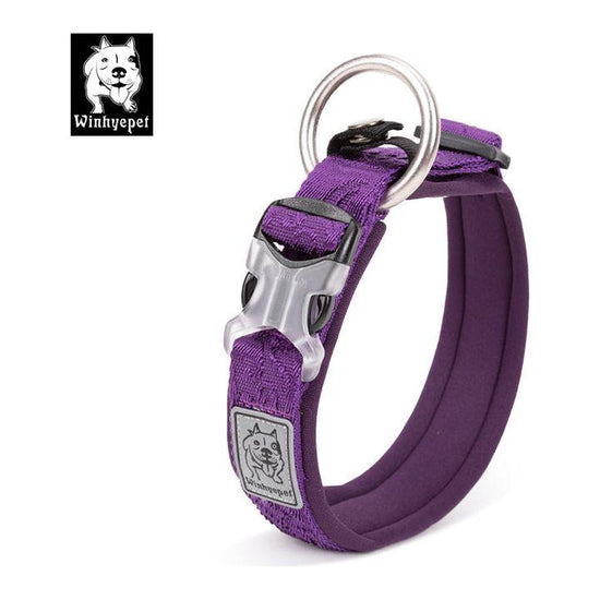 Whinhyepet Collar purple - XL