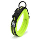 Heavy Duty Reflective Collar Neon Yellow 2XL