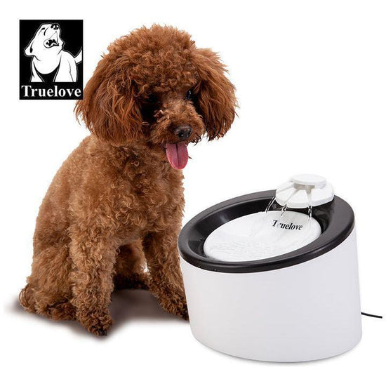 Automatic Water Dispenser WD T1