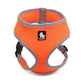 Skippy Pet Harness Orange M
