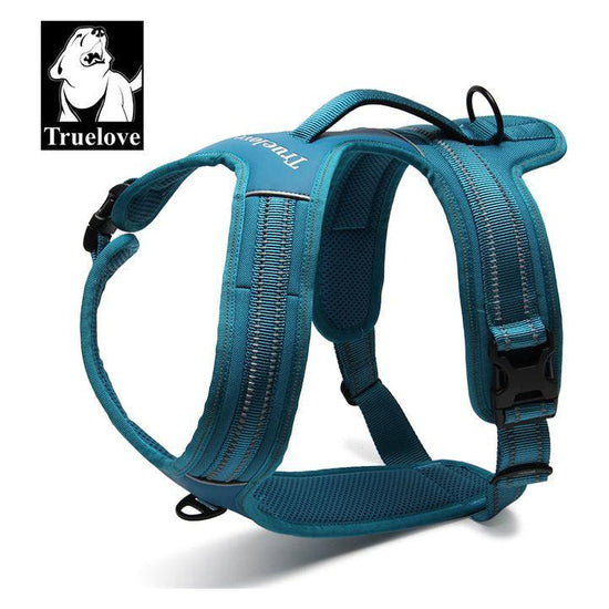 Reflective Heavy Duty Harness Blue XS