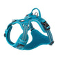 No Pull Harness Blue L