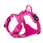 No Pull Harness Pink XL