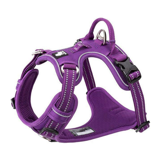 No Pull Harness Purple XL