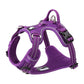 No Pull Harness Purple XS