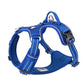 No Pull Harness Royal Blue XL