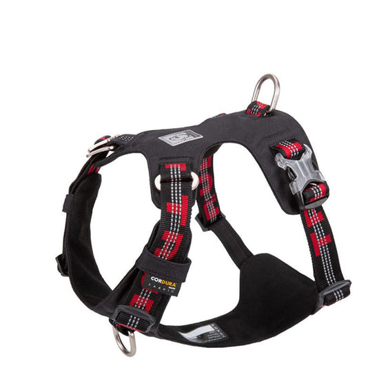 Lightweight 3M reflective Harness Black XS