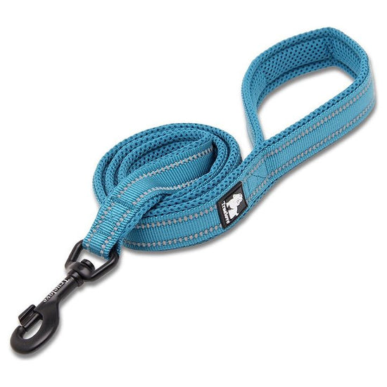 Reflective Pet Leash 2 meters Blue L