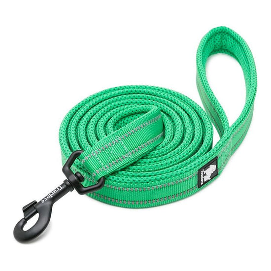 Reflective Pet Leash 2 meters Green L