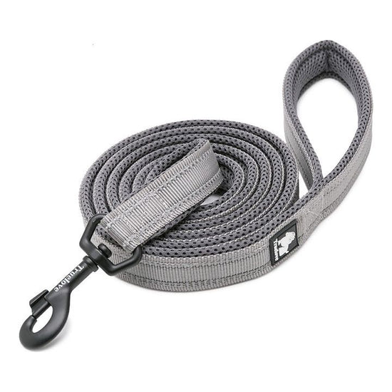 Reflective Pet Leash 2 meters Grey L