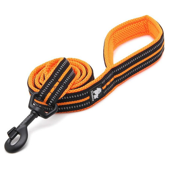 Reflective Pet Leash 2 meters orange L