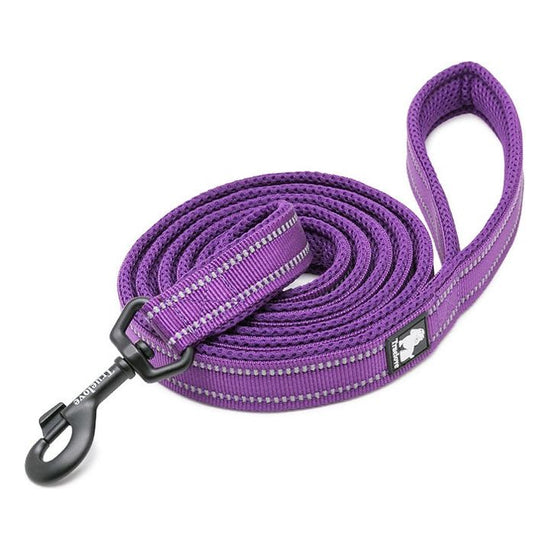 Reflective Pet Leash 2 meters Purple L